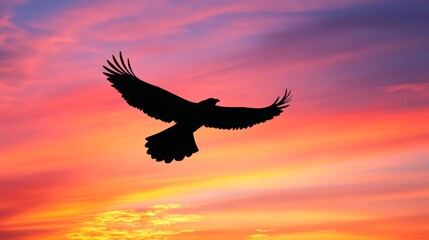 Fototapeta premium Silhouette of an eagle soaring against a
