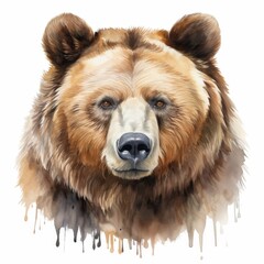 Fototapeta premium Realistic Watercolor Bear Illustration Portrait - Detailed Grizzly Bear Painting for Wildlife Art Decor and Nature Enthusiasts