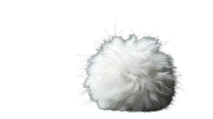Pom Pom fur on transparent background