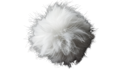 Pom Pom fur on transparent background