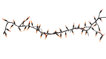 String of Christmas lights on transparent background