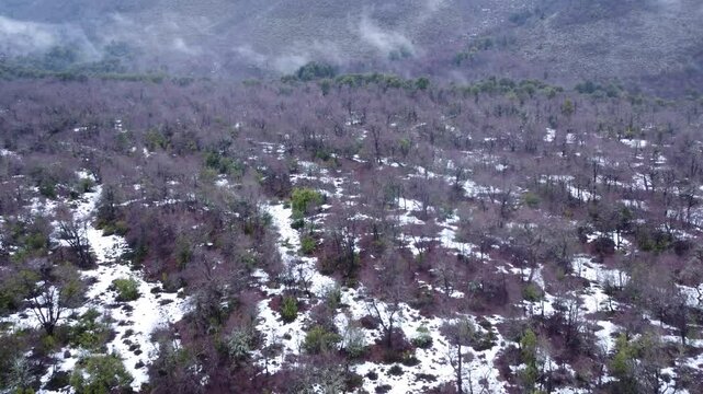 Volc&aacute;n de Chillan Biob&iacute;o Chile