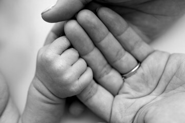 The newborn baby has a firm grip on the parent's finger after birth. Close-up little hand of child and palm of mother and father. Parenting, childcare and healthcare concept. Black and white photo. 
