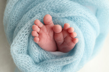 Close-up of tiny, cute, bare toes, heels and feet of a newborn girl, boy. Baby foot on blue soft coverlet, blanket. Detail of a newborn baby legs. Macro horizontal professional studio photo. 