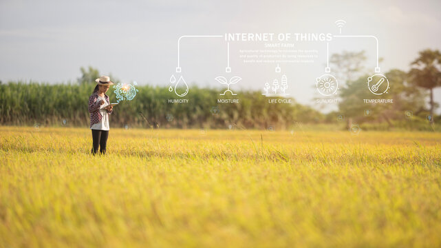 A woman is standing in a field with a tablet in her hand