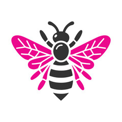 A beautiful colorful butterfly