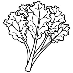 Obraz premium kale vegetable outline coloring book page line art illustration digital drawing