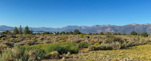 California Road Trippin - Luscious Landscapes and Mountains