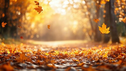 Autumn Leaves Falling on a Forest Path