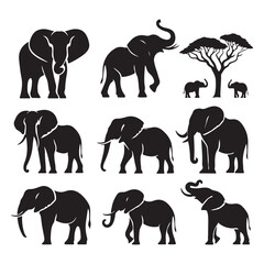 Naklejka premium Set of elephant silhouettes isolated on a white background, Vector illustration.