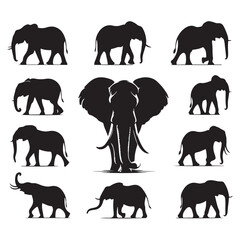 Set of elephant silhouettes isolated on a white background, Vector illustration.