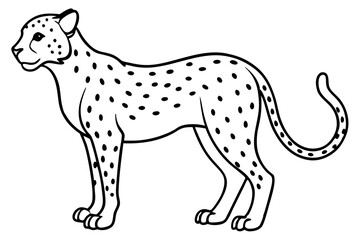 cheetah silhouette, cheetah line art vector illustration, leopard black silhouette vector
