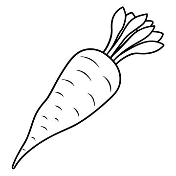 recommend clip art: parsnips vegetable outline coloring book page line art illustration digital drawing