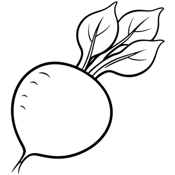 recommend clip art: radishes vegetable outline coloring book page line art illustration digital drawing