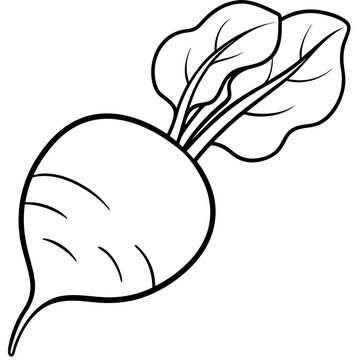 recommend clip art: radishes vegetable outline coloring book page line art illustration digital drawing