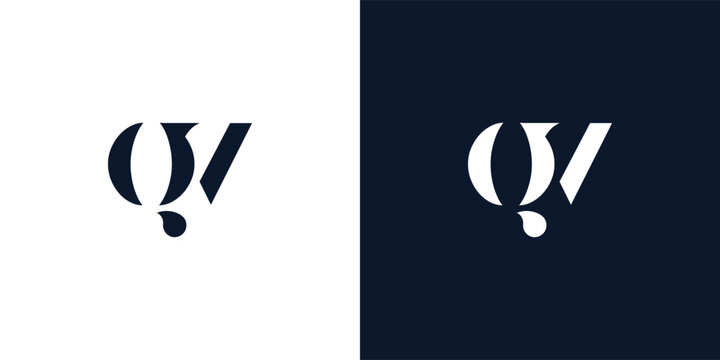 Abstract letter QV logo.