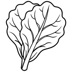 spinach vegetable outline coloring book page line art illustration digital drawing