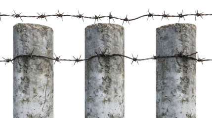 Barbed wire with concrete pillars on transparent background