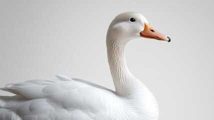 Obraz premium Simple white duck illustration with a minimalist approach on a white background