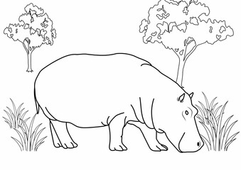 drawing animal for coloring book