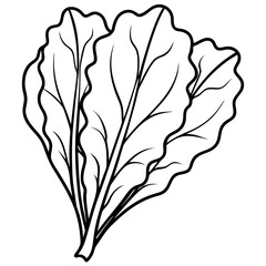 Swiss chard vegetable outline coloring book page line art illustration digital drawing