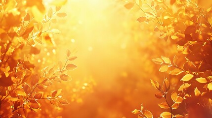 Fototapeta premium Golden Autumn Leaves with Sunlight Filtering Through
