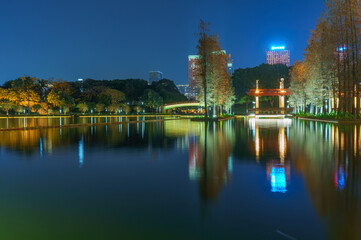 Obraz premium Foshan Thousand Lantern Lake Park's Lake Larch Night Lighting