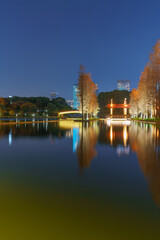 Fototapeta premium Foshan Thousand Lantern Lake Park's Lake Larch Night Lighting