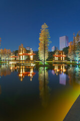 Foshan Thousand Lantern Lake Park's Lake Larch Night Lighting