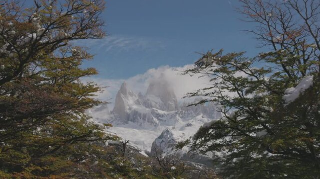a shot of monte fitz roy framed by the branches of beech trees on an autumn morning in patagonian argentina