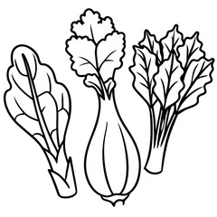 watercress endive chicory vegetables outline coloring book page line art illustration digital drawing