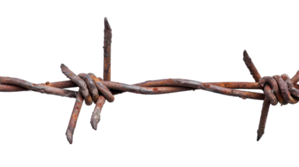 Barbed wire on transparent background