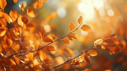 Golden Autumn Leaves Illuminated by Sunlight