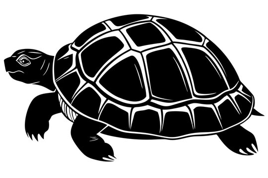 recommend clip art: tortoise icon vector, tortoise illustration,tortoise silhouette