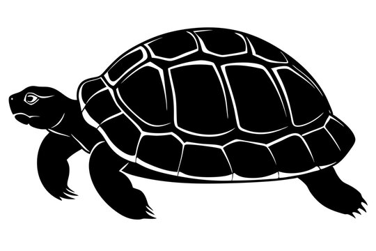 recommend clip art: tortoise icon vector, tortoise illustration,tortoise silhouette