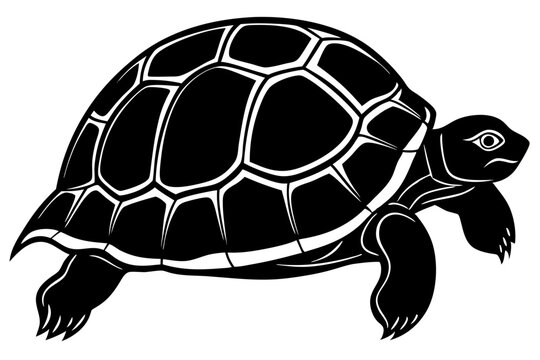 recommend clip art: tortoise icon vector, tortoise illustration,tortoise silhouette