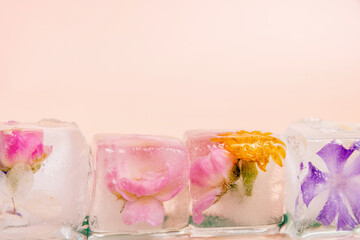 Close-up of four ice cubes with different flowers frozen inside. The ice cubes are set against a pink background. Copy space for advertisement