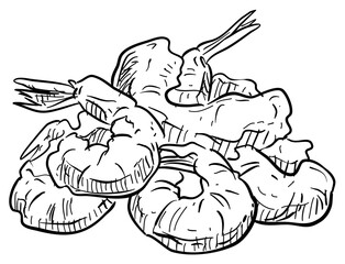 fried shrimp handdrawn illustration