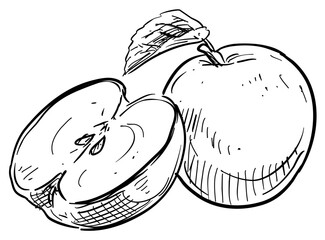 apple handdrawn illustration