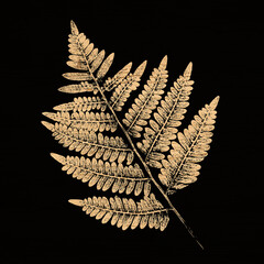 Botanical fern leaf prints or ferns from a forest. Monotone dark black and beige tan plant illustrations print. © CaptureAndCompose
