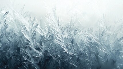 Obraz premium Frosted glass texture with delicate ice crystal patterns
