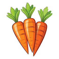 Tasty carrot vector illustration isolated on a white background
