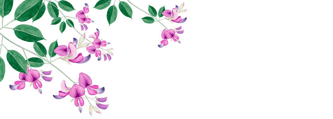 萩 秋の花　背景 フレーム　水彩 イラスト