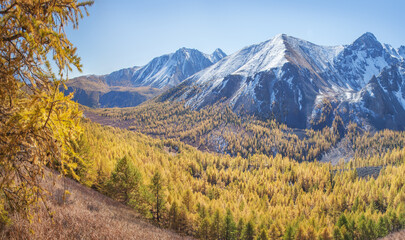 Autumn landscape, mountain valley, snow-capped peaks, sunny day