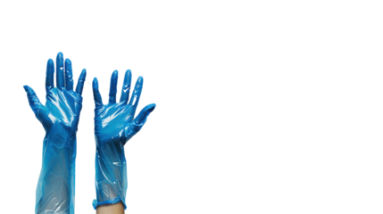 Hands wearing a blue latex glove on transparent background
