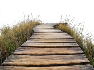 Obraz premium A winding wooden pathway leads through lush green grass, evoking a sense of tranquility and natural beauty in the outdoors.