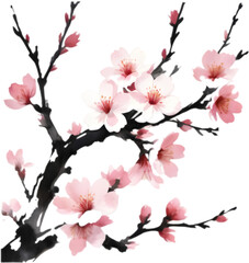 Timeless Japanese Sakura Ink Illustration. 