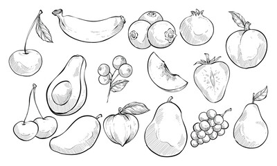 fruits handdrawn collection