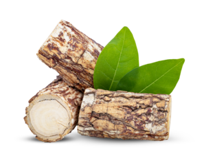 Thanaka wood isolated on transparent png