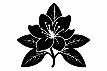 Azalea Vector Silhouette, Azalea flower silhouette clipart isolated on a white background